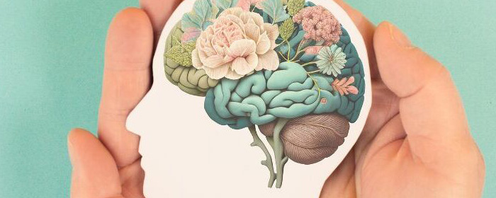 Personalized Care Plan